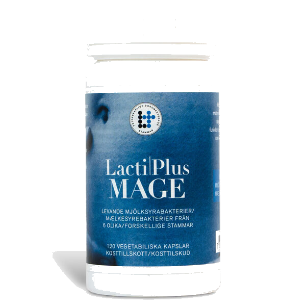 LACTIPLUS MAGE KAPS